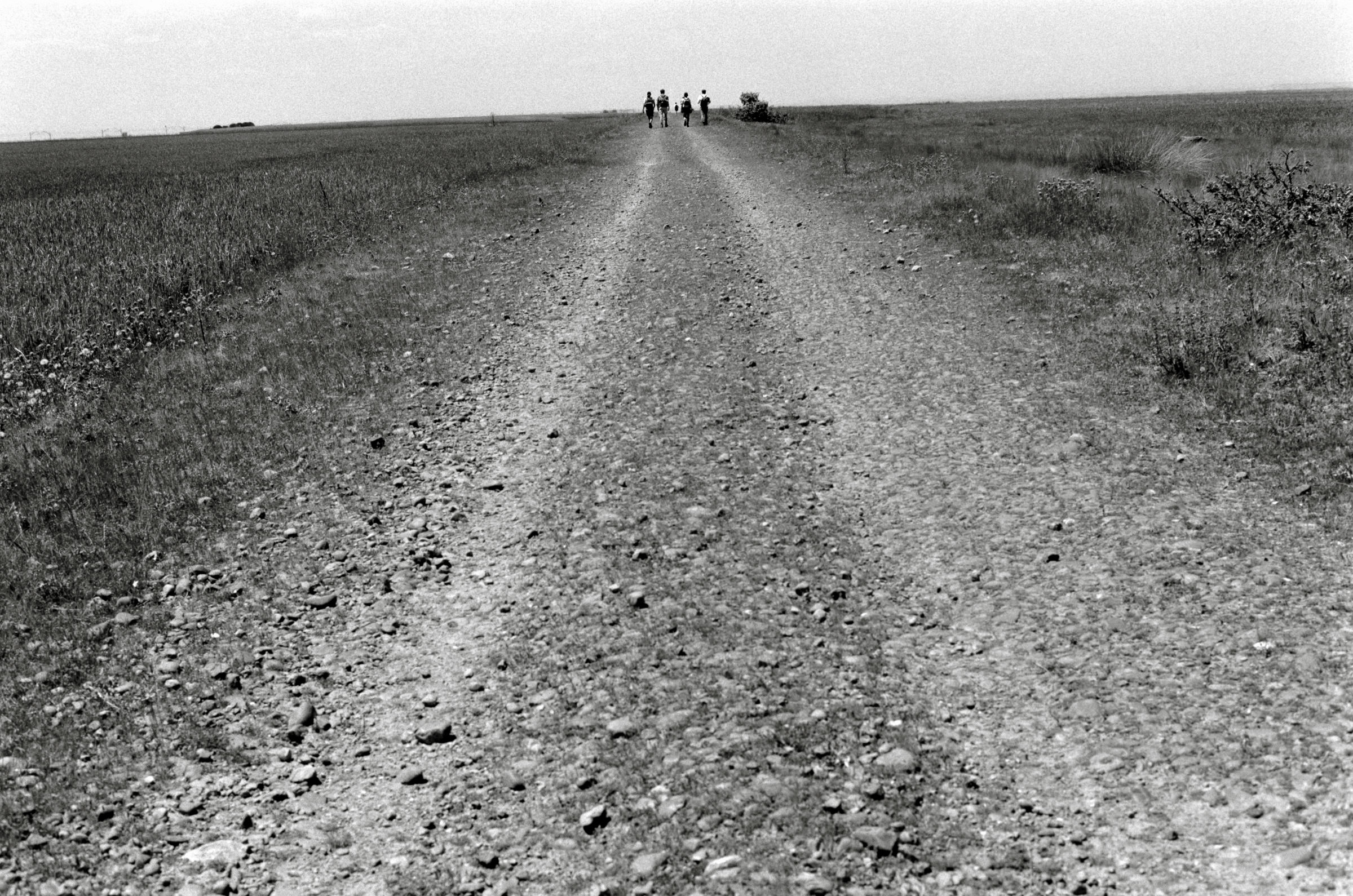 AHP F1995 05 009 sc240826 img35 NLP